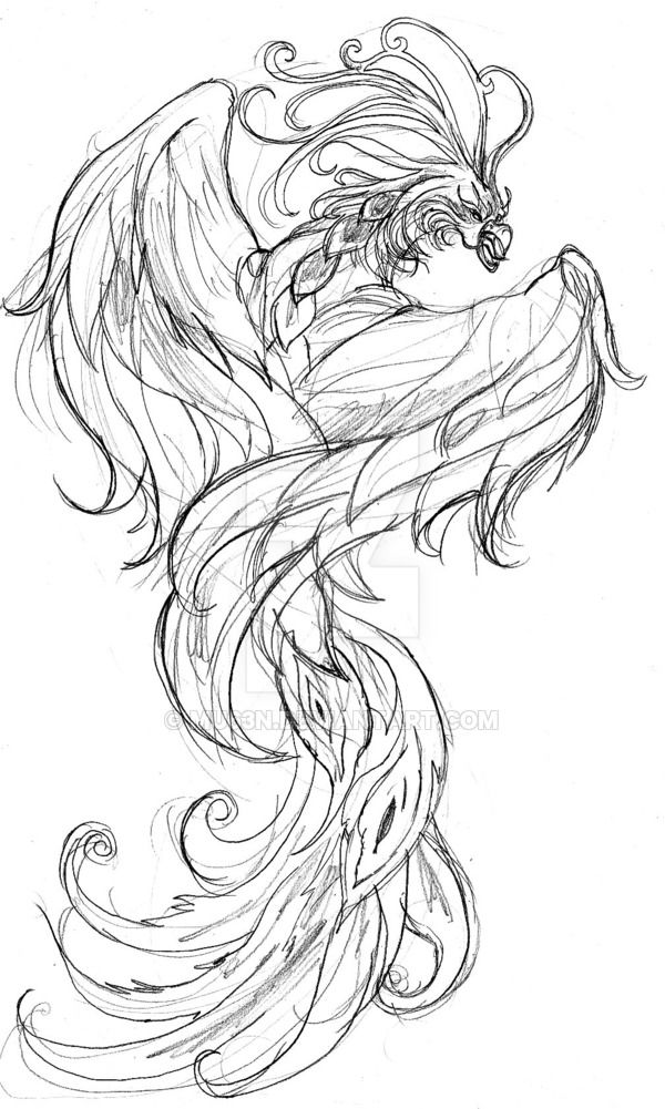 600x1001 Phoenix Sketch