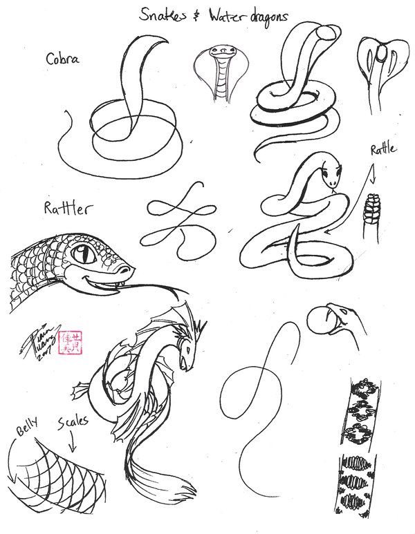 600x773 Draw snakes and sea monsters by diana