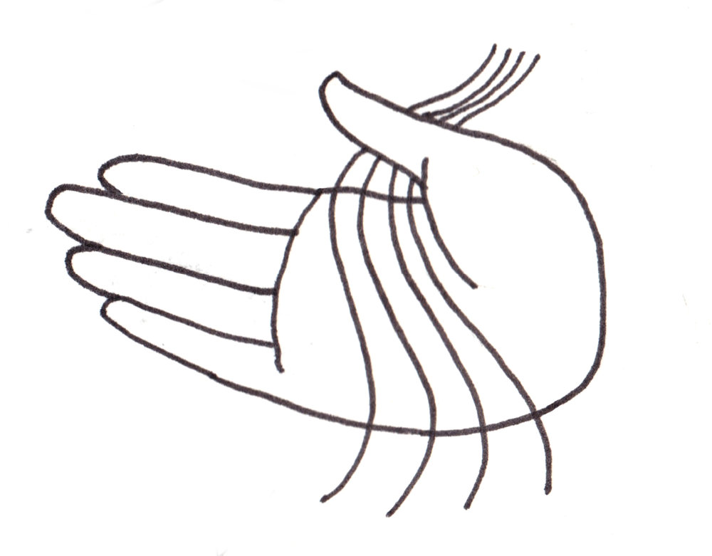 1000x781 Flash Ocean In View