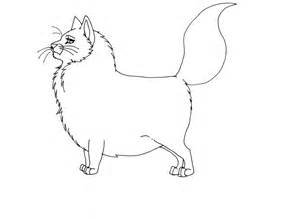 Fluffy Cat Drawing at GetDrawings | Free download