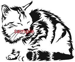 245x205 47 Best Cats Images On Black Cats, Cute Kittens