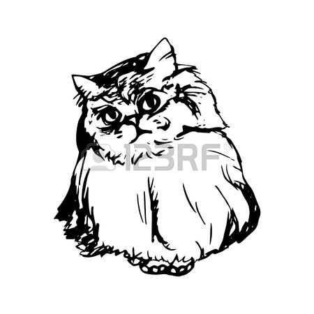 450x450 Abstract Drawing Of A Fluffy Cat, Graphic Vector Illustration