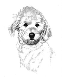 236x294 Graphite Pencil Protrait That I Took From A Small Pic 1x2 Inches