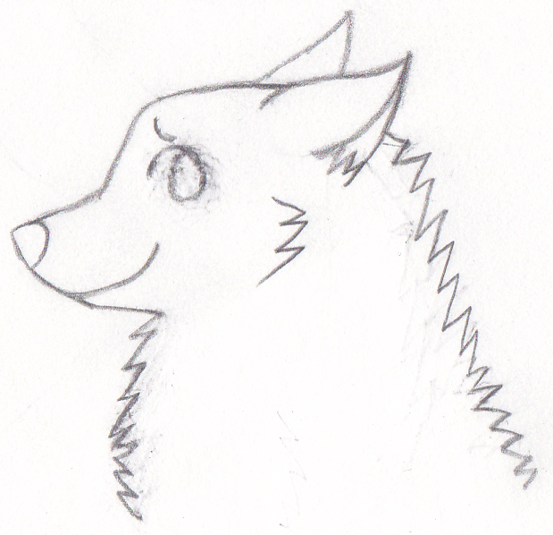 Fluffy Dog Drawing at GetDrawings | Free download