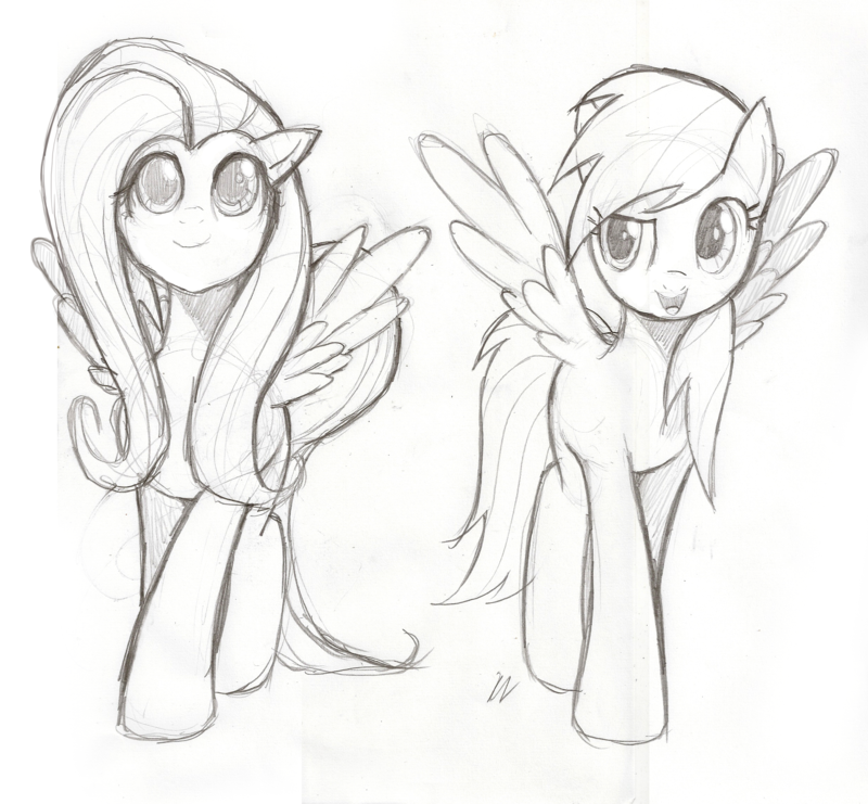 800x741 Fluttershy And Rainbow Dash By Moxie2d