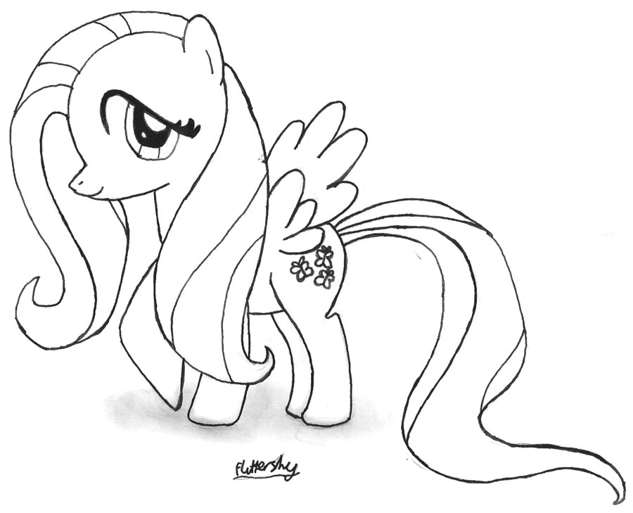 900x729 Fluttershy Drawing By Willisabrony