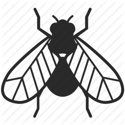 256x256 Bug, Contagion, Fly, Insect, Pest Icon Icon Search Engine