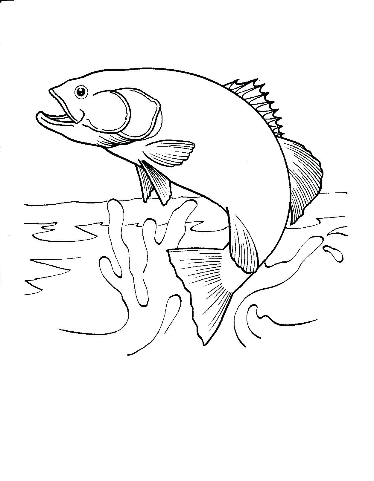 Fly Fishing Coloring Pages 8