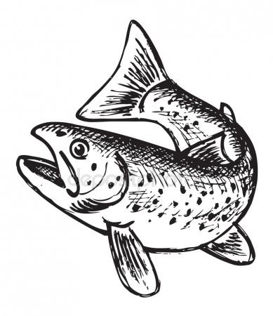 389x450 Trout Stock Vectors, Royalty Free Trout Illustrations