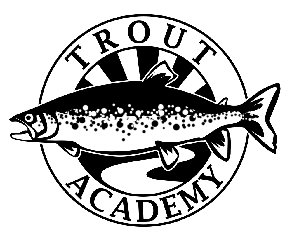 1000x812 Blog Trout Academy