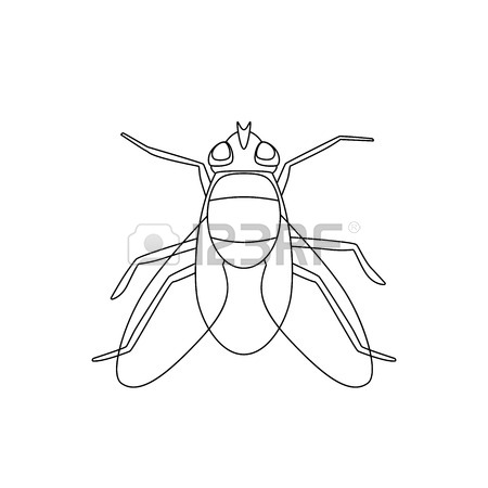 450x450 Fly Line Drawing Royalty Free Cliparts, Vectors, And Stock