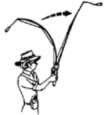 216x236 How To Cast A Fishing Rod