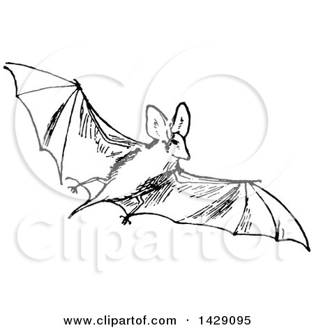 450x470 Clipart Of A Vintage Black And White Flying Bat