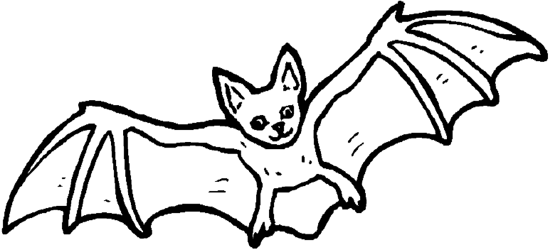 773x355 Coloring Bat Is Flying In Sky Picture