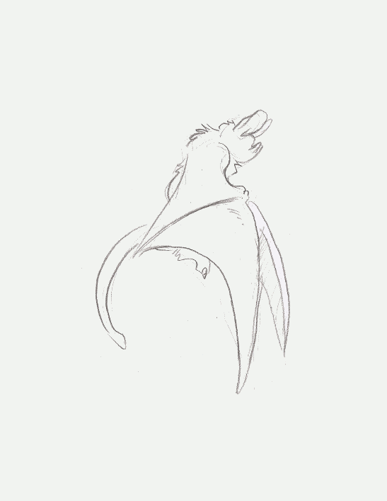 547x707 Flying Bat Animation By Doragon Ya