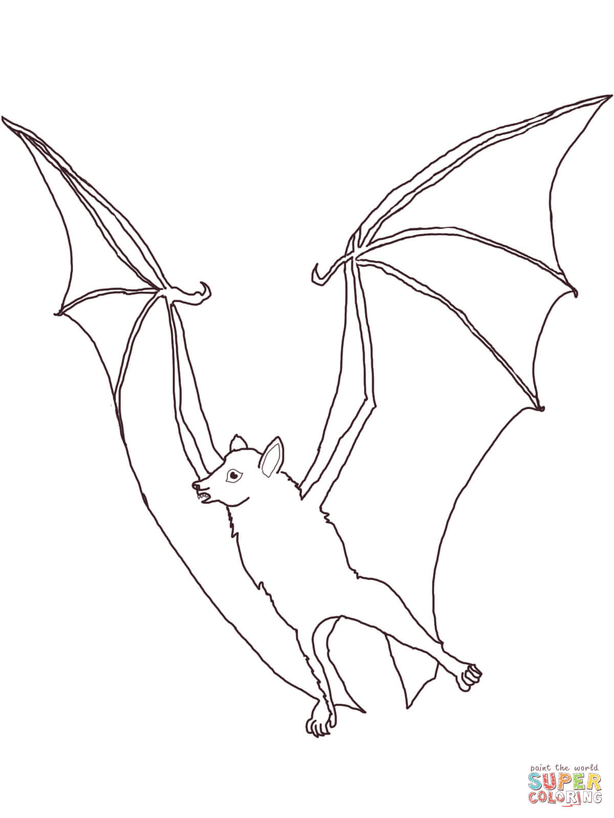 1200x1600 Megabat Flying Fox Coloring Page Free Printable Coloring Pages