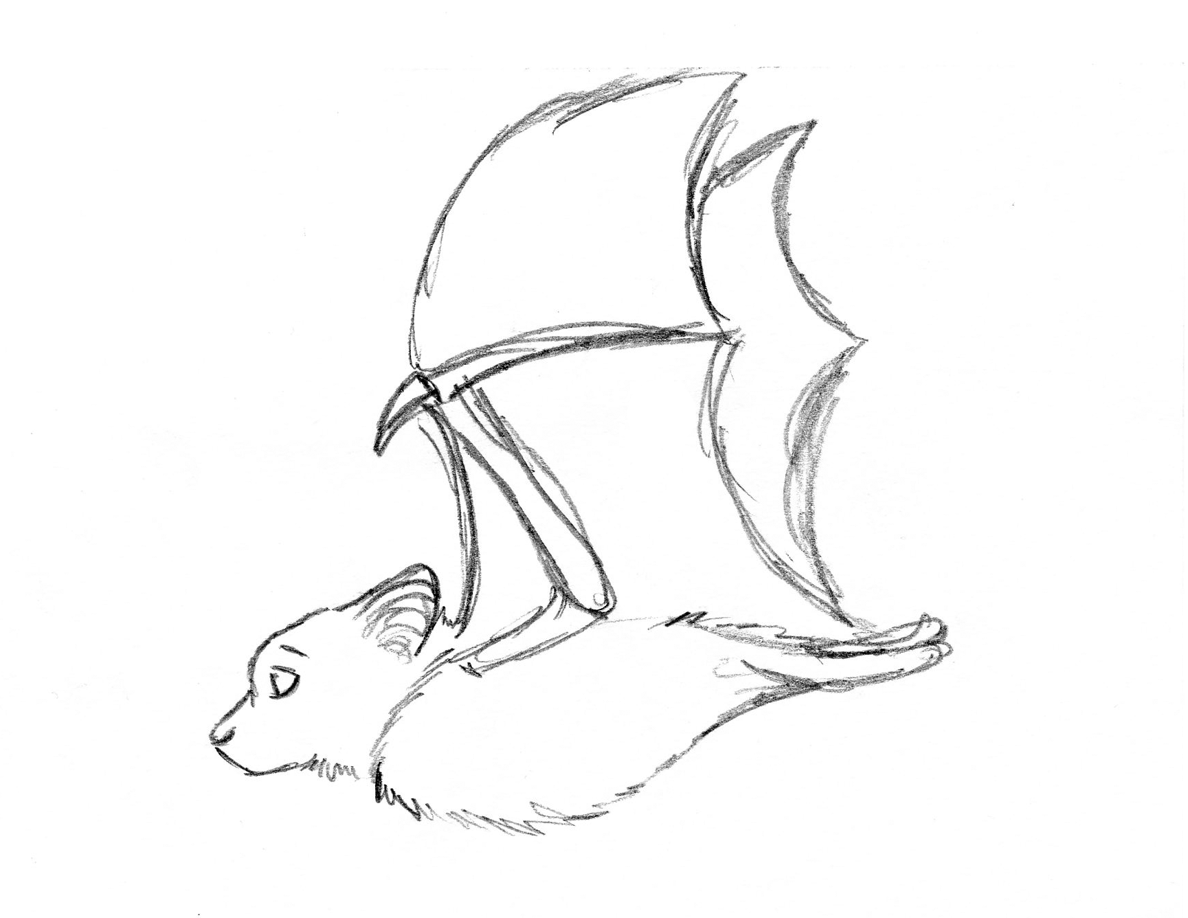 1729x1336 Bat Flying Animation By Lizzie9009