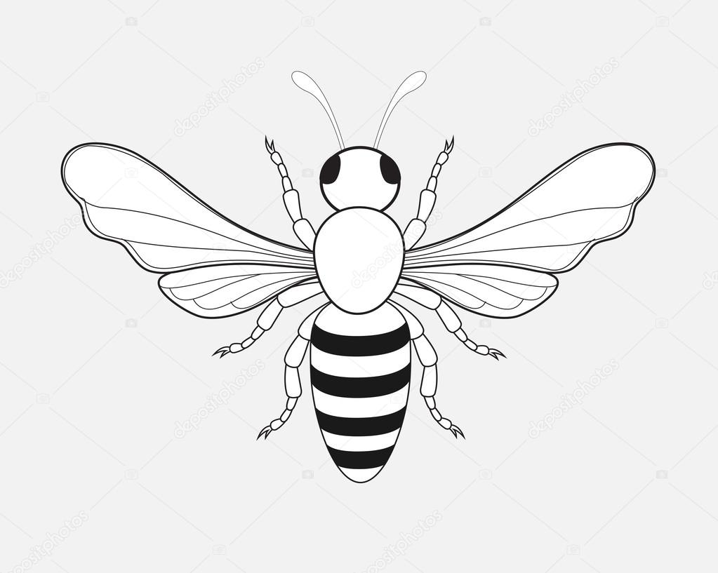 1023x817 Cartoon Bumblebee Drawing Stock Vector Baavli