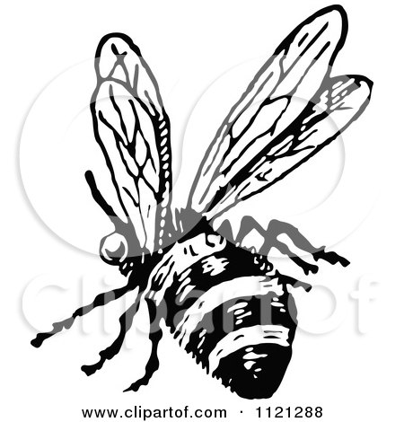 450x470 Clipart Of A Retro Vintage Black And White Drone Bee