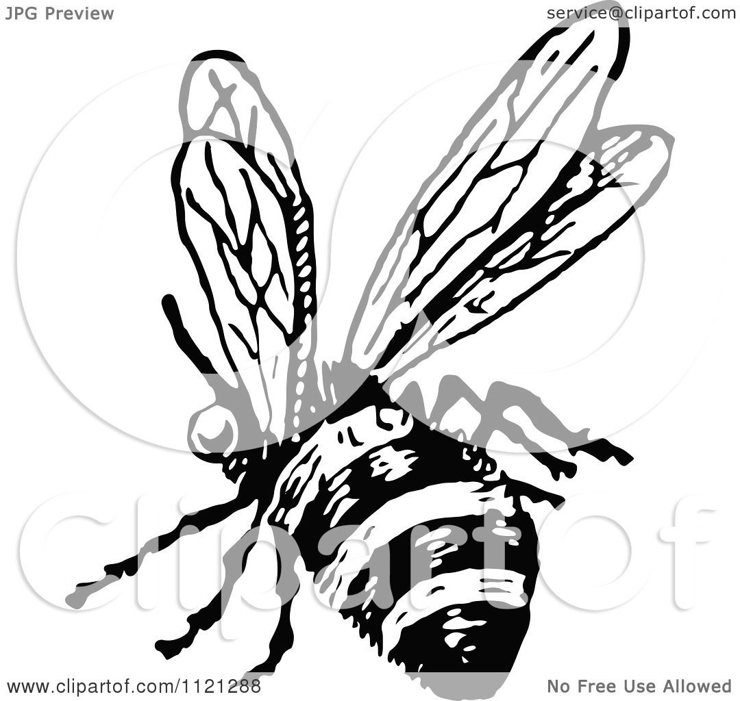 1080x1024 Clipart Of A Retro Vintage Black And White Flying Bee 2