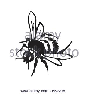300x320 Vector Engraving Antique Illustration Of Honey Flying Bees