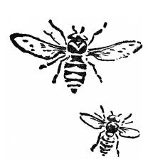 208x237 Bees Flying