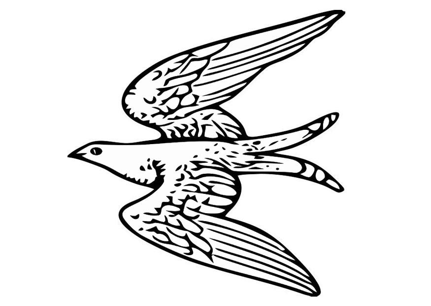 875x620 Coloring Page Flying Bird