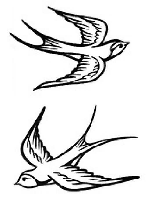 520x713 Unique Birds Tattoos Designs