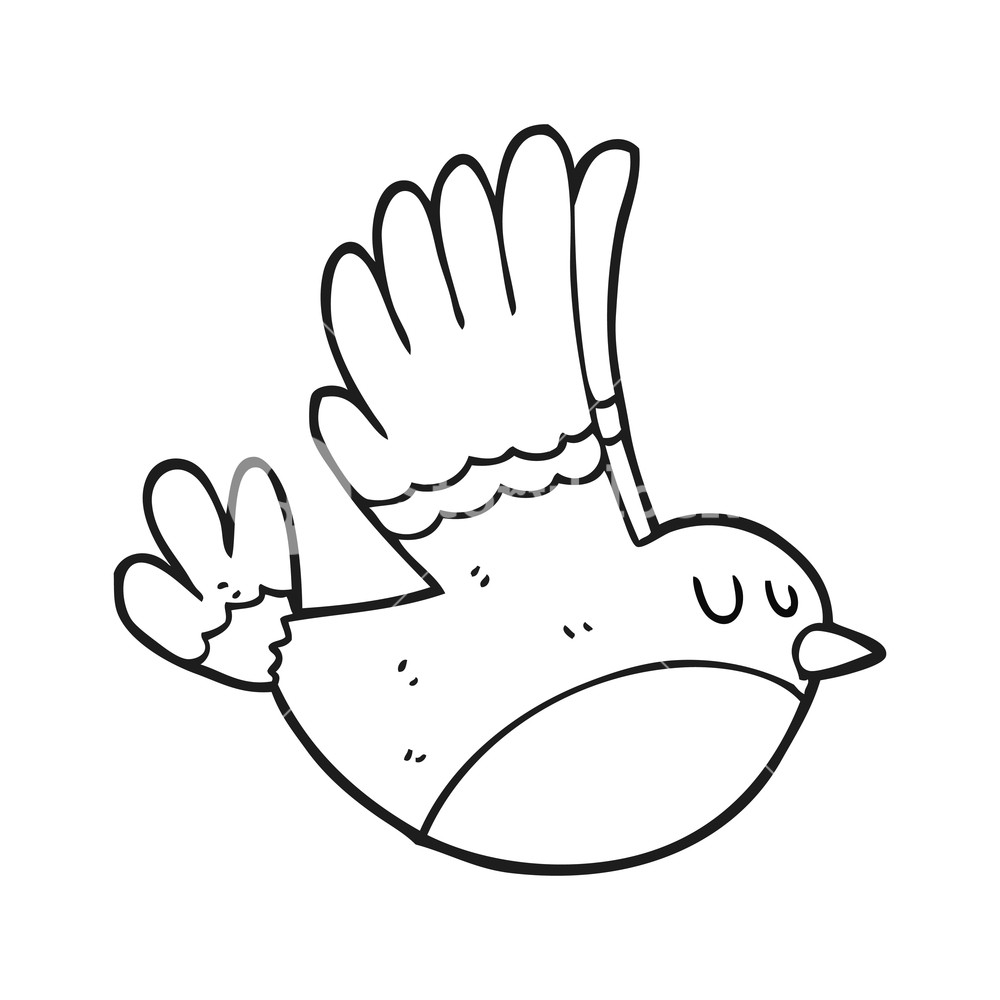 1000x1000 Freehand Drawn Black And White Cartoon Flying Bird Royalty Free