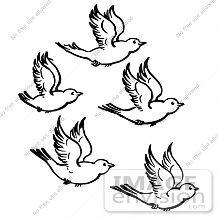 450x450 Clipart Of Five Flying Birds In Black And White