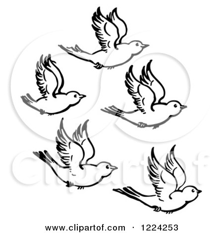 450x470 Clipart Of Black And White Five Flying Birds