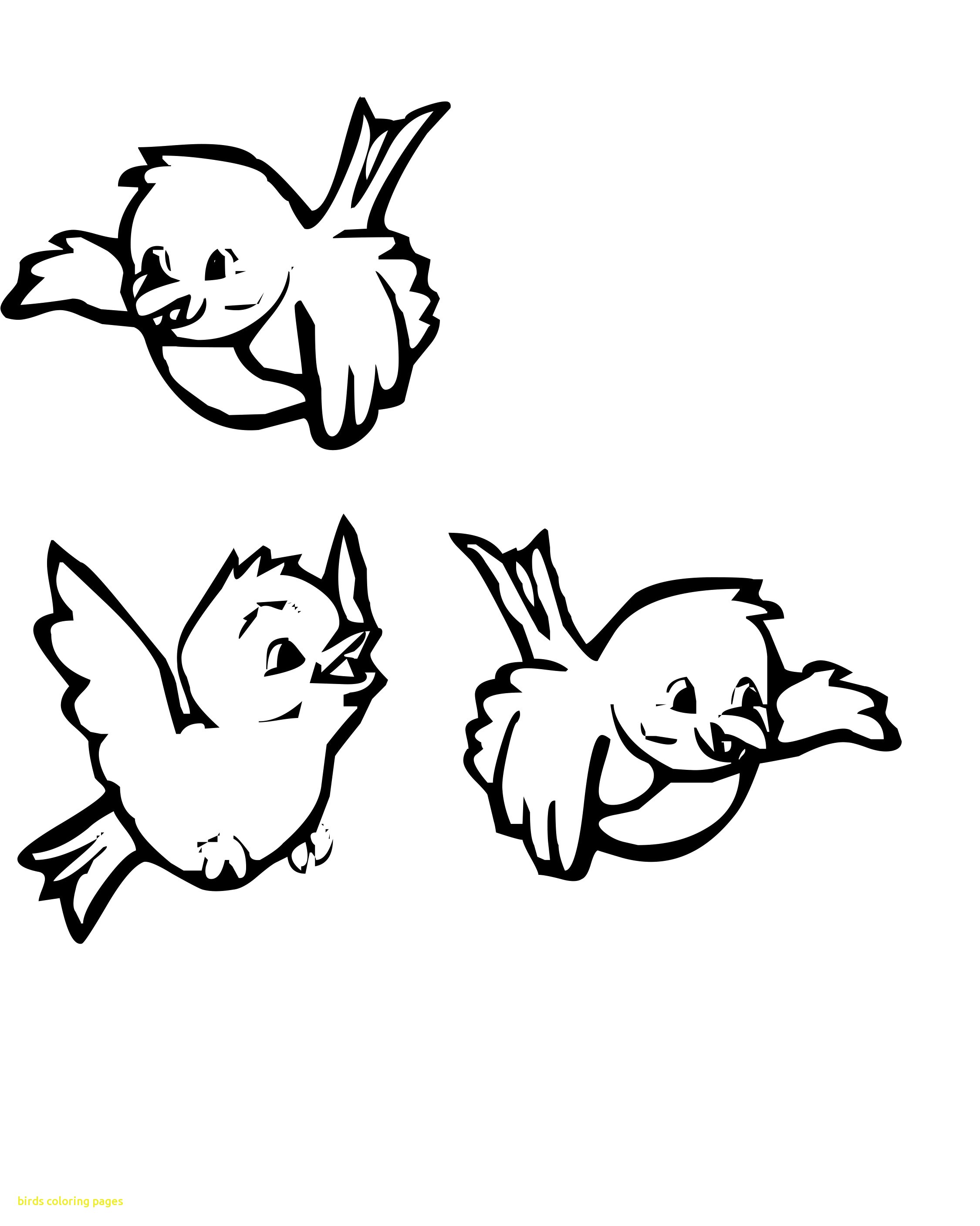 2250x2814 Coloring Pages Of Birds Free For Kids Printable Page Animals