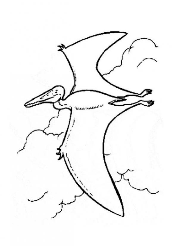 581x822 Flying Prehistoric Bird Coloring Pages