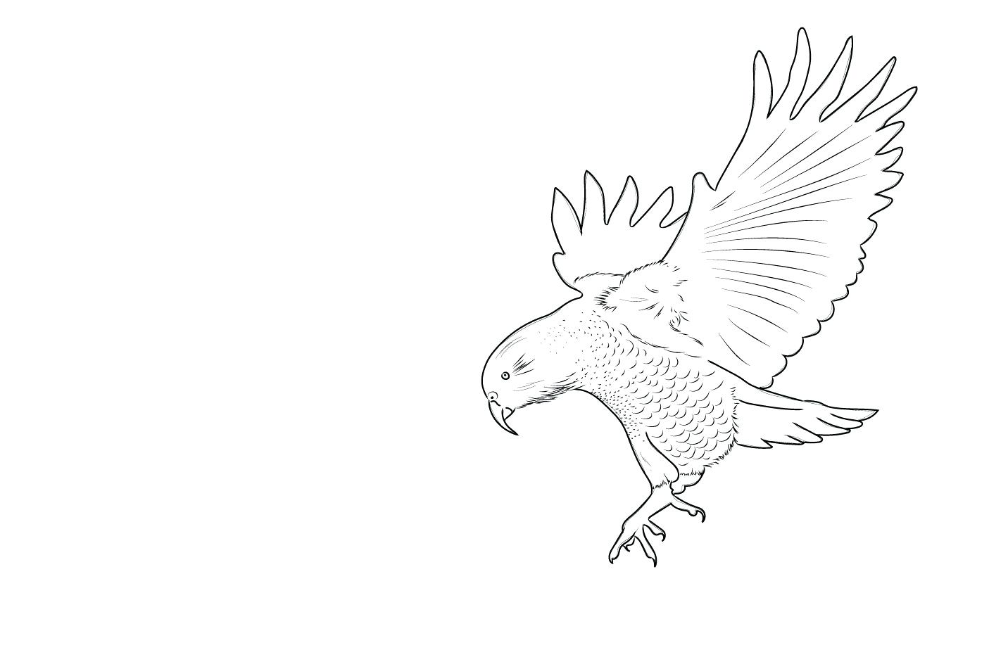 1405x951 Hedgehog Outline Birds Of Prey Bird Tattoo Tumblr Birdcage Clipart