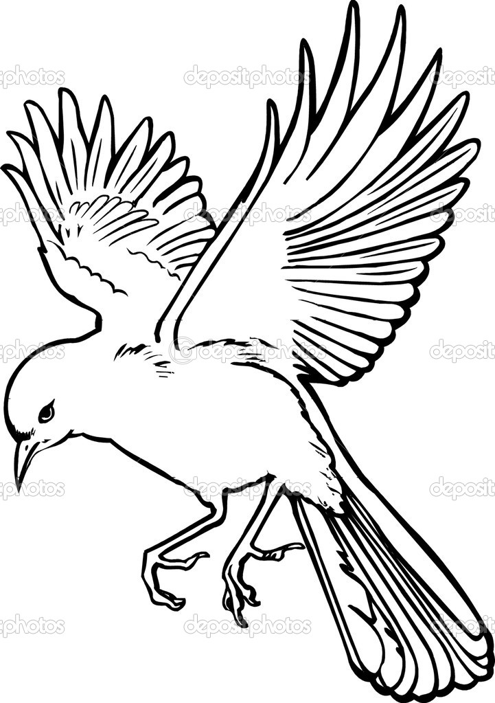 721x1023 Photos Line Drawings Of Flying Birds,