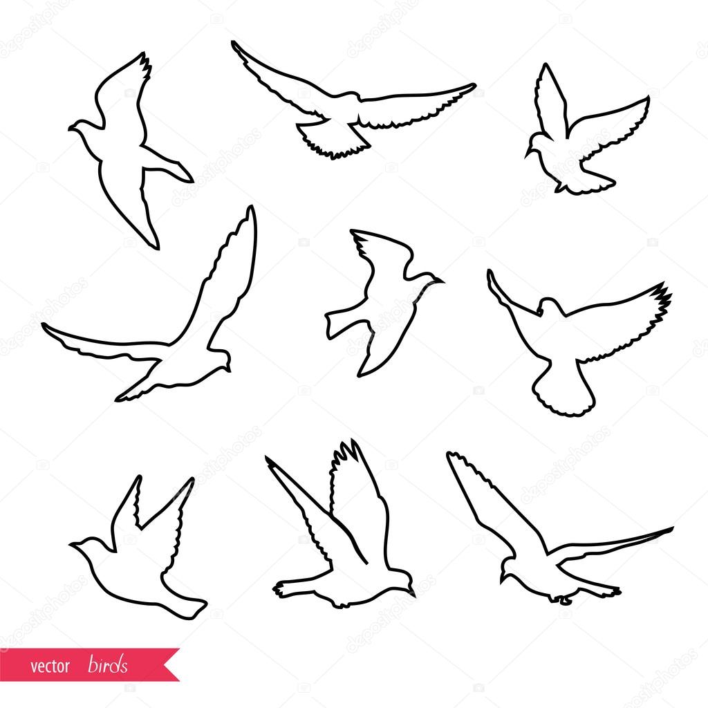 1024x1024 Flying Birds Silhouettes Stock Vector Mrs Opossum