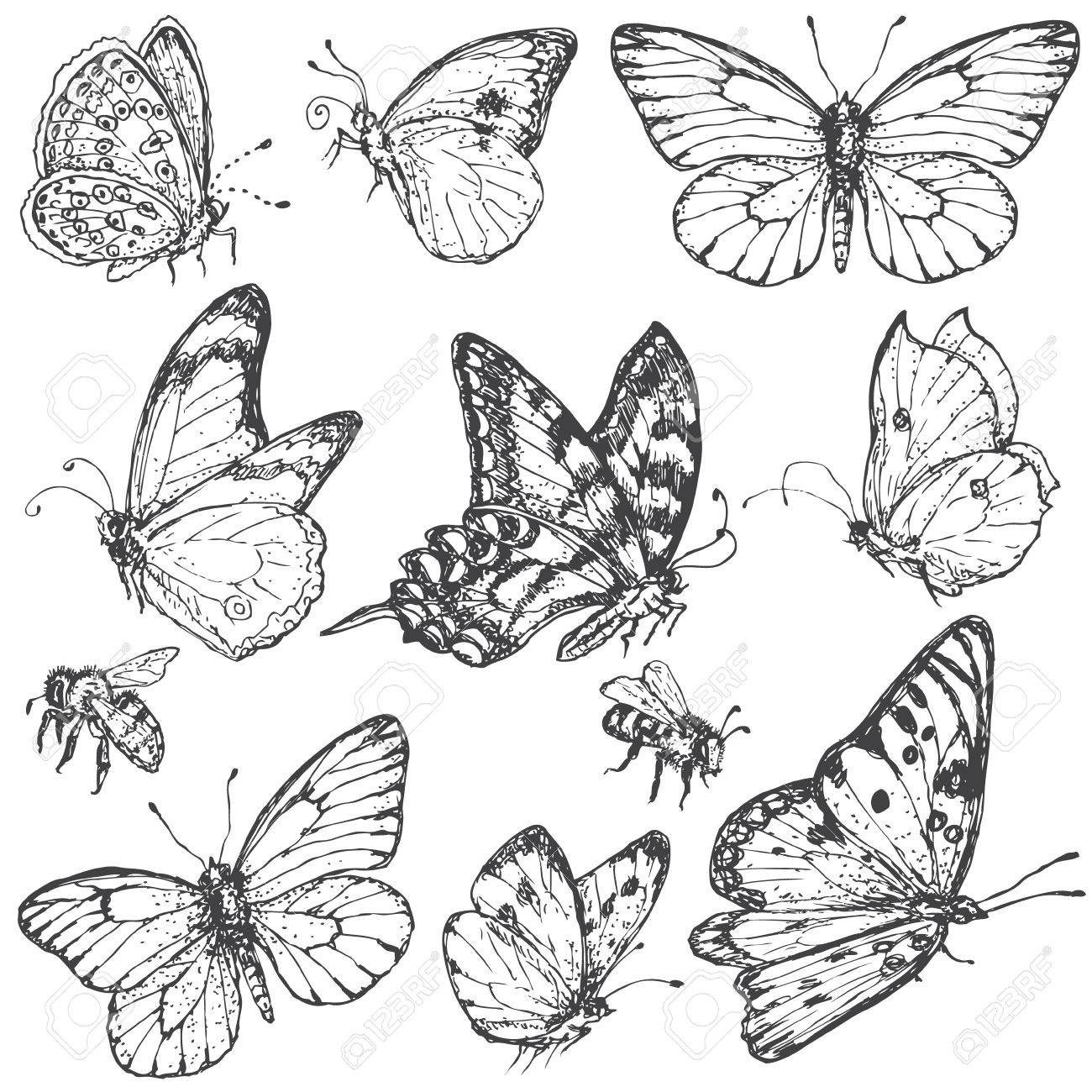 1300x1300 Hand Drawn Set Of Doodle Insects. Monochrome Image Of Flying