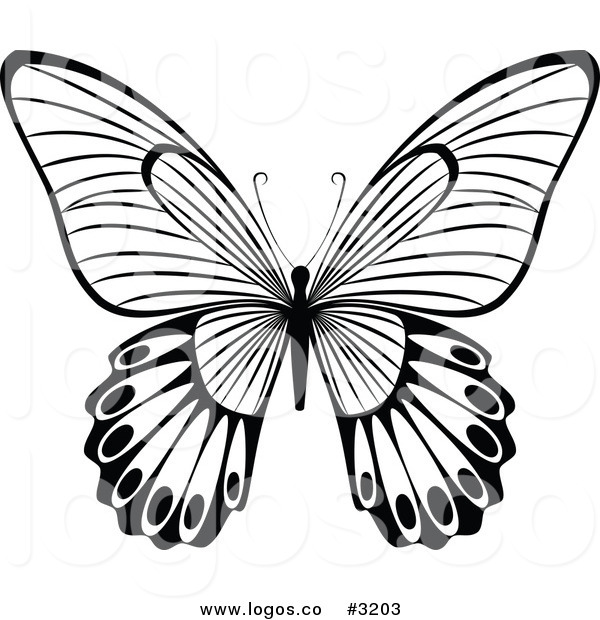 600x620 Royalty Free Vector Of A Black And White Butterfly Flying Logo By