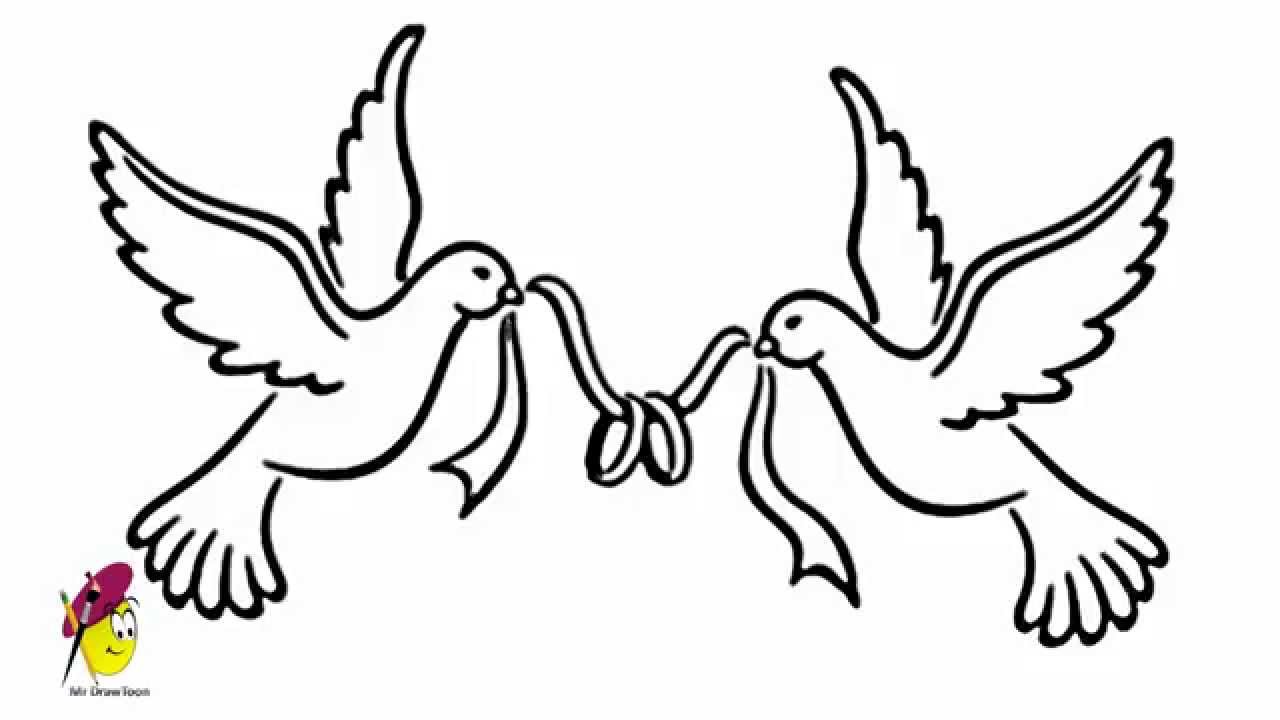 1280x720 Drawn Pigeon Art