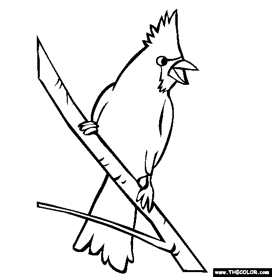 554x565 Bird Online Coloring Pages Page 1