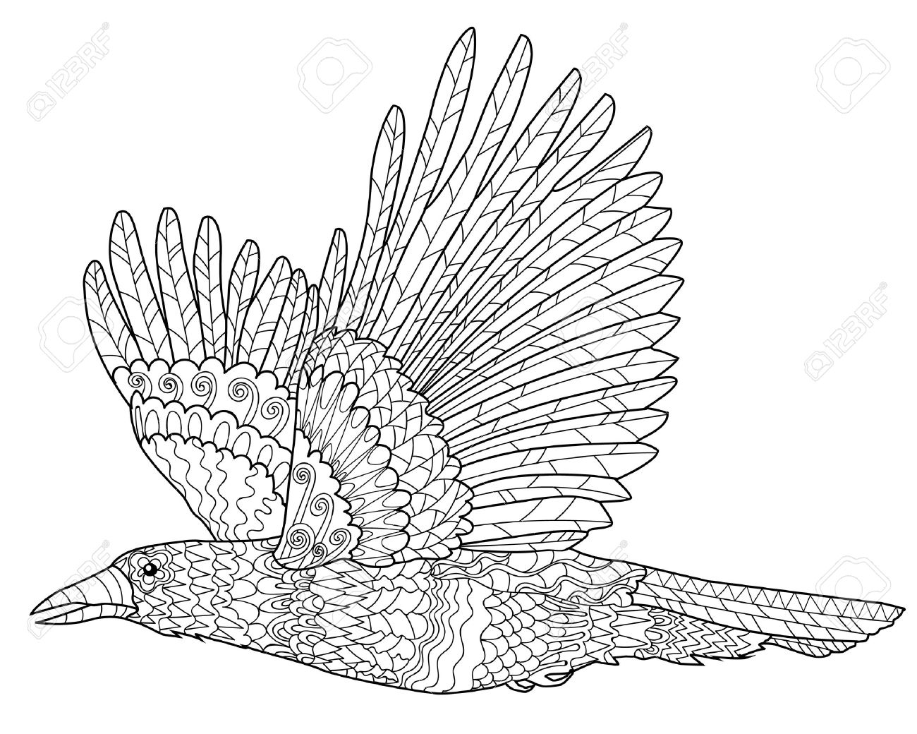 1300x1040 Flying Raven With High Details. Adult Anti Stress Coloring Page