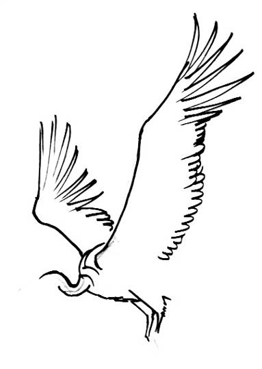 Flying Crow Drawing at GetDrawings | Free download