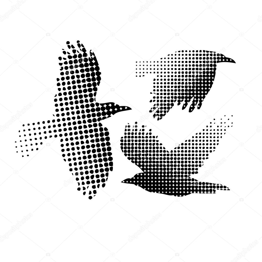 1024x1024 Abstract Flying Crows Stock Vector Maryia777
