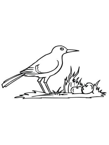 360x480 Crow On The Ground Coloring Page Free Printable Coloring Pages