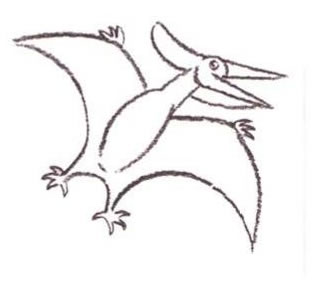 322x294 How To Draw How To Draw A Pteranodon