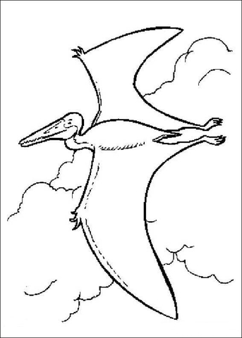 343x480 Pterodactyl Is Flying Coloring Page Free Printable Coloring Pages