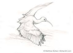 236x171 Arts Of Painted, Flying, Dove Outline On A White Background