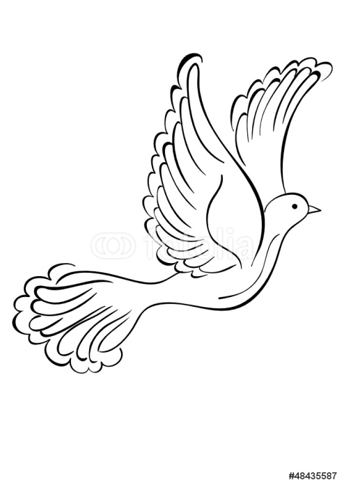 494x700 Flying Dove Wall Mural We Live To Change