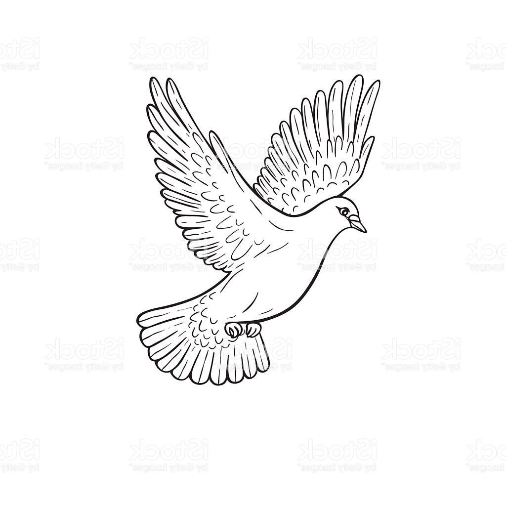 Flying Dove Drawing at GetDrawings | Free download