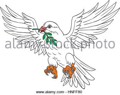 405x320 Dove With Olive Leaf Drawing Stock Photo, Royalty Free Image